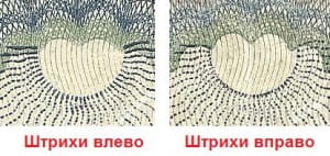 штрихи