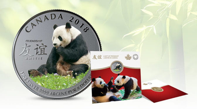 Игривый посол дружбы природы: мирная панда